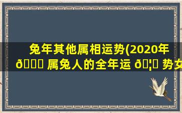 兔年其他属相运势(2020年 🍀 属兔人的全年运 🦆 势女)